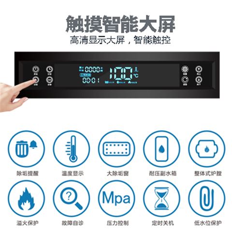 G系列燃气节能蒸汽发生器